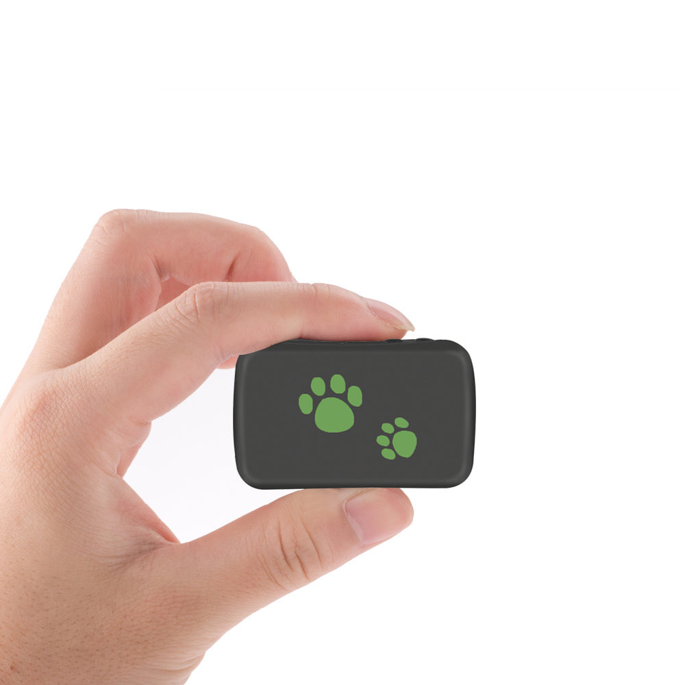Pet GPS Tracker - Never Lose Your Dog